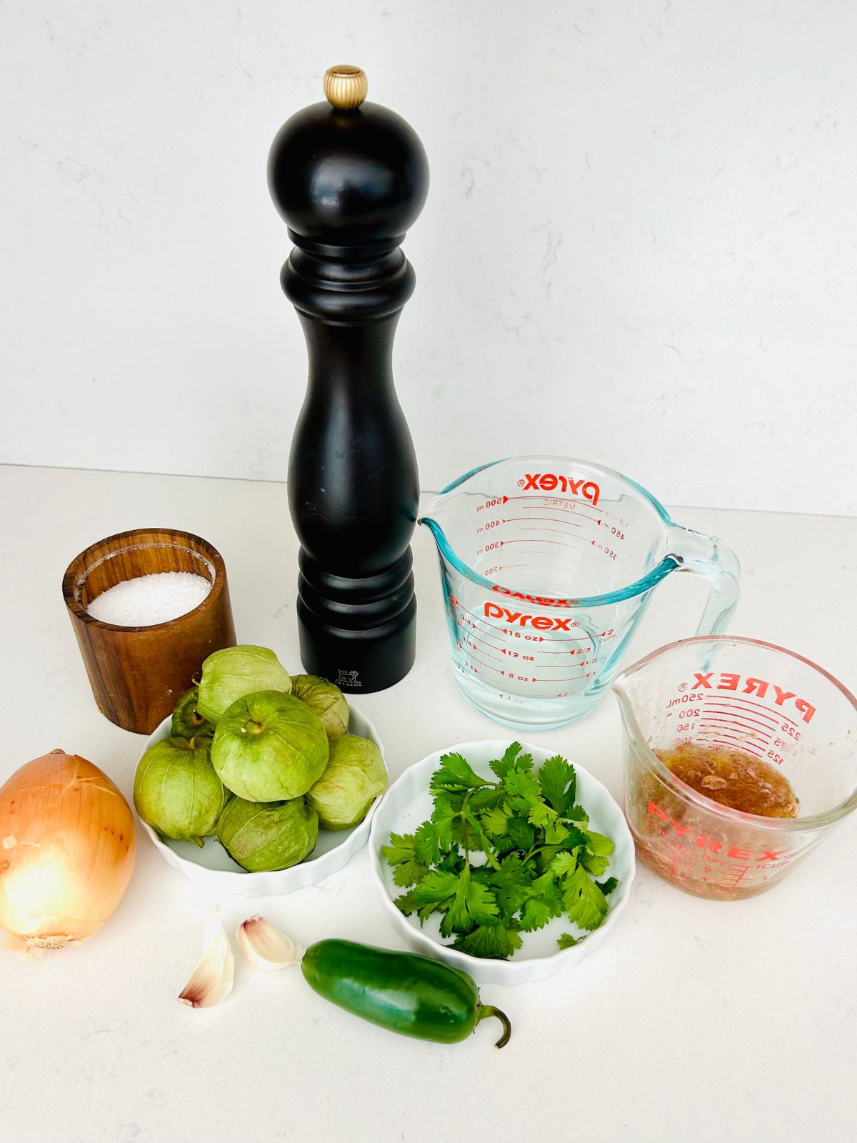 Ingredients needed to make tomatillo green chili salsa (salsa verde).