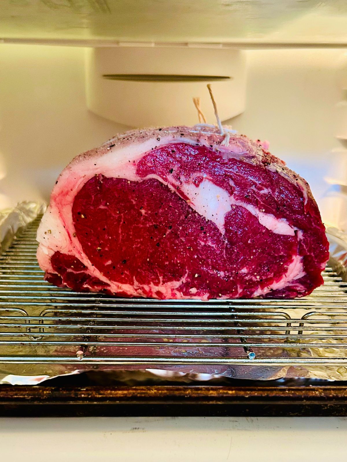 A seasoned rib roast on a cooling rack over a cookie sheet and dry brining in a refrigerator.