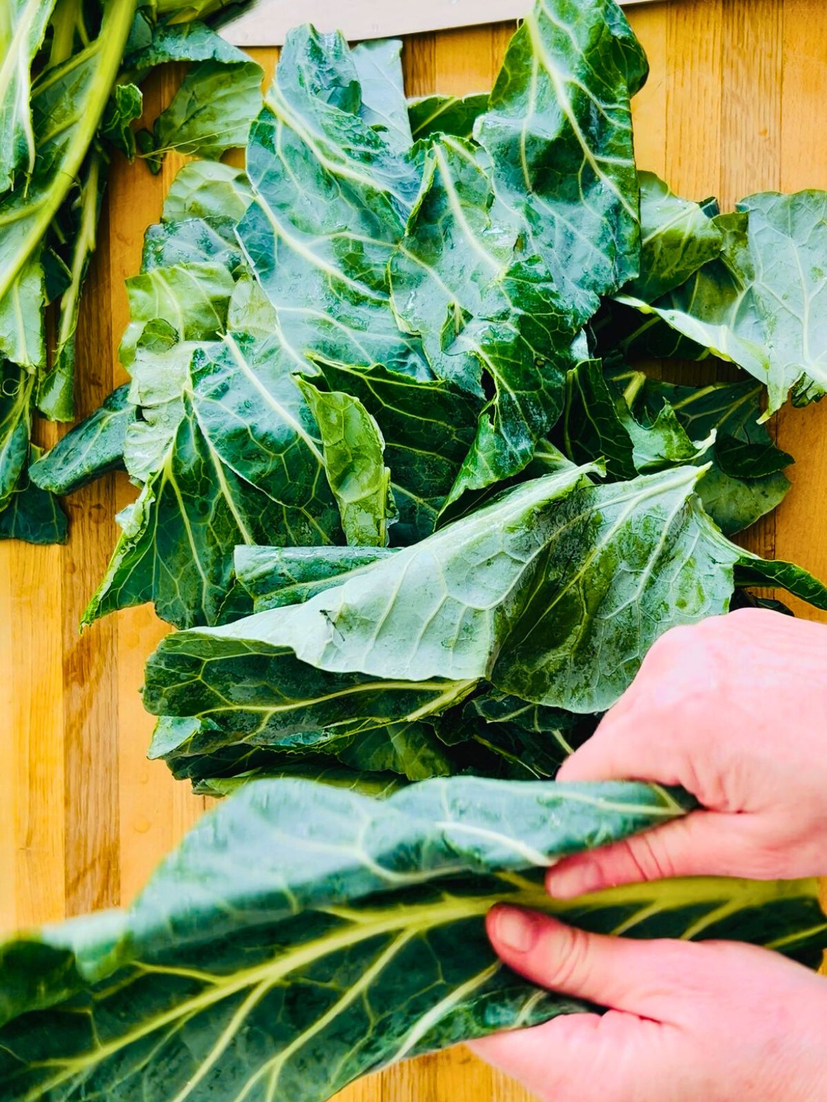 Tearing the center ribs by hand out of whole collard green leaves.
