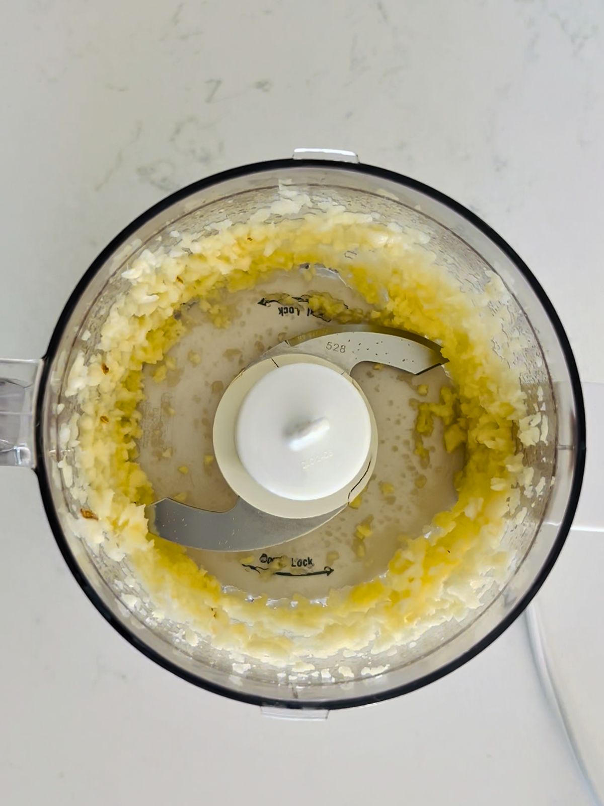 Chopped garlic in a mini food processor.