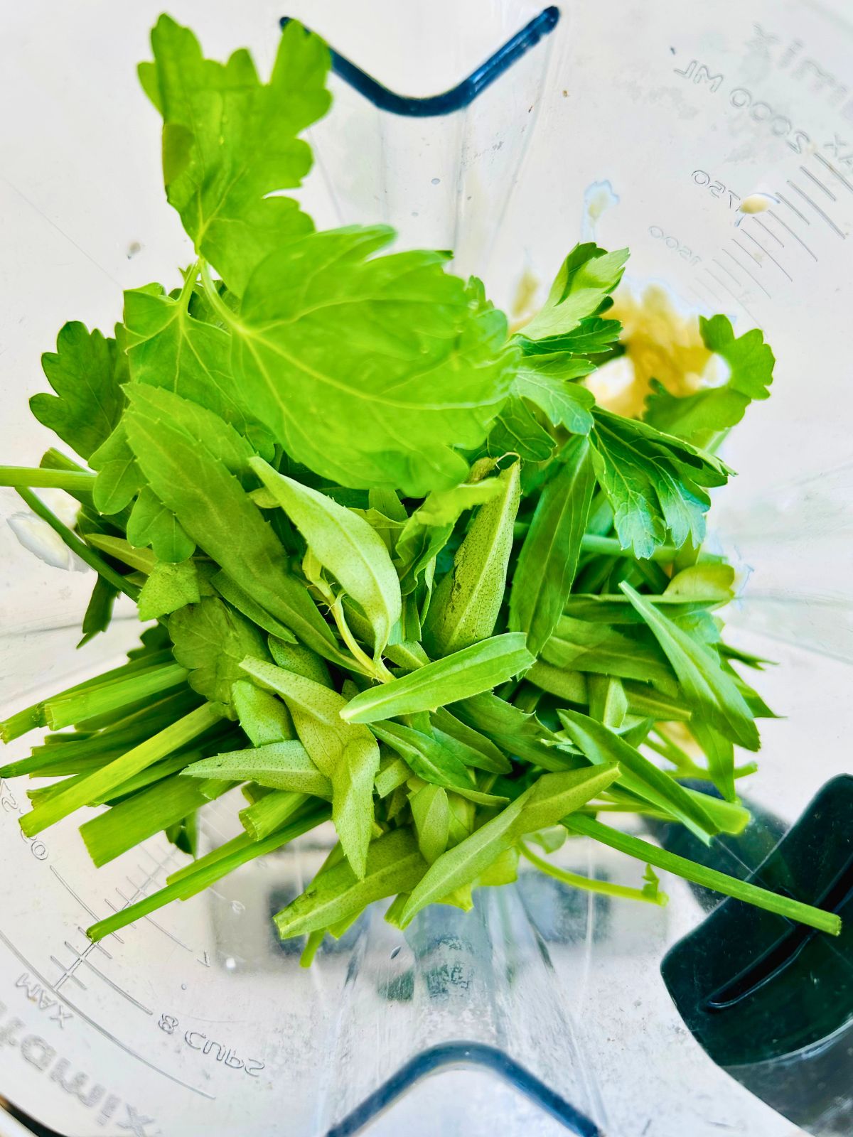Parsley, chives, and tarragon leaves on top of mayonnaise in the pitcher of a blender.