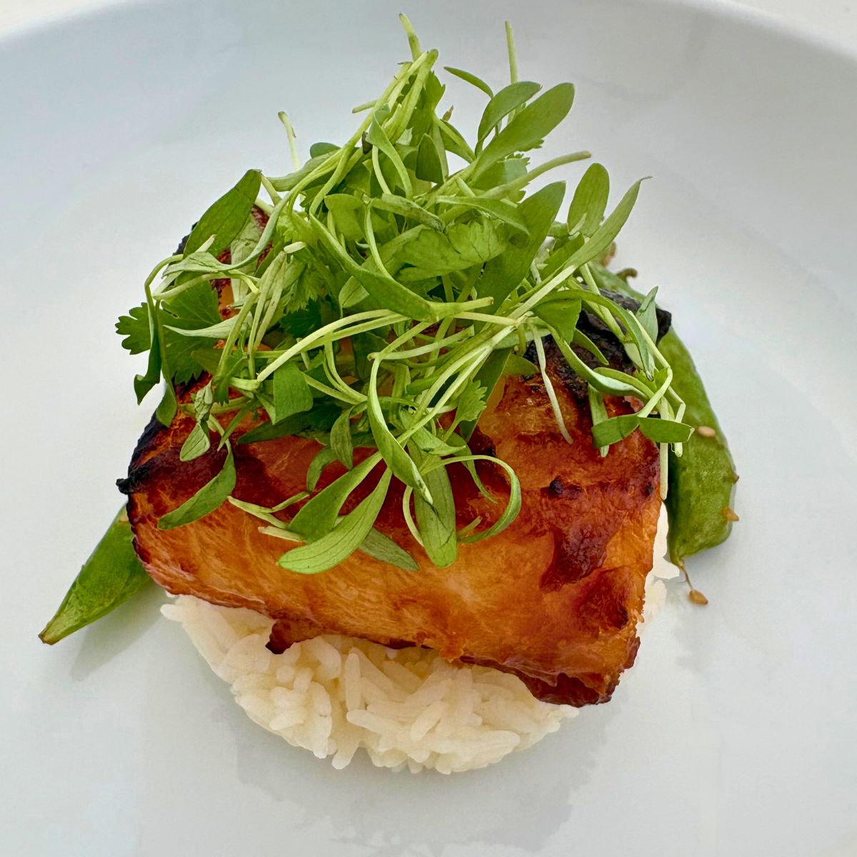 A white plate containing miso marinated sea bass on top of steamed rice with snap peas and microgreens.