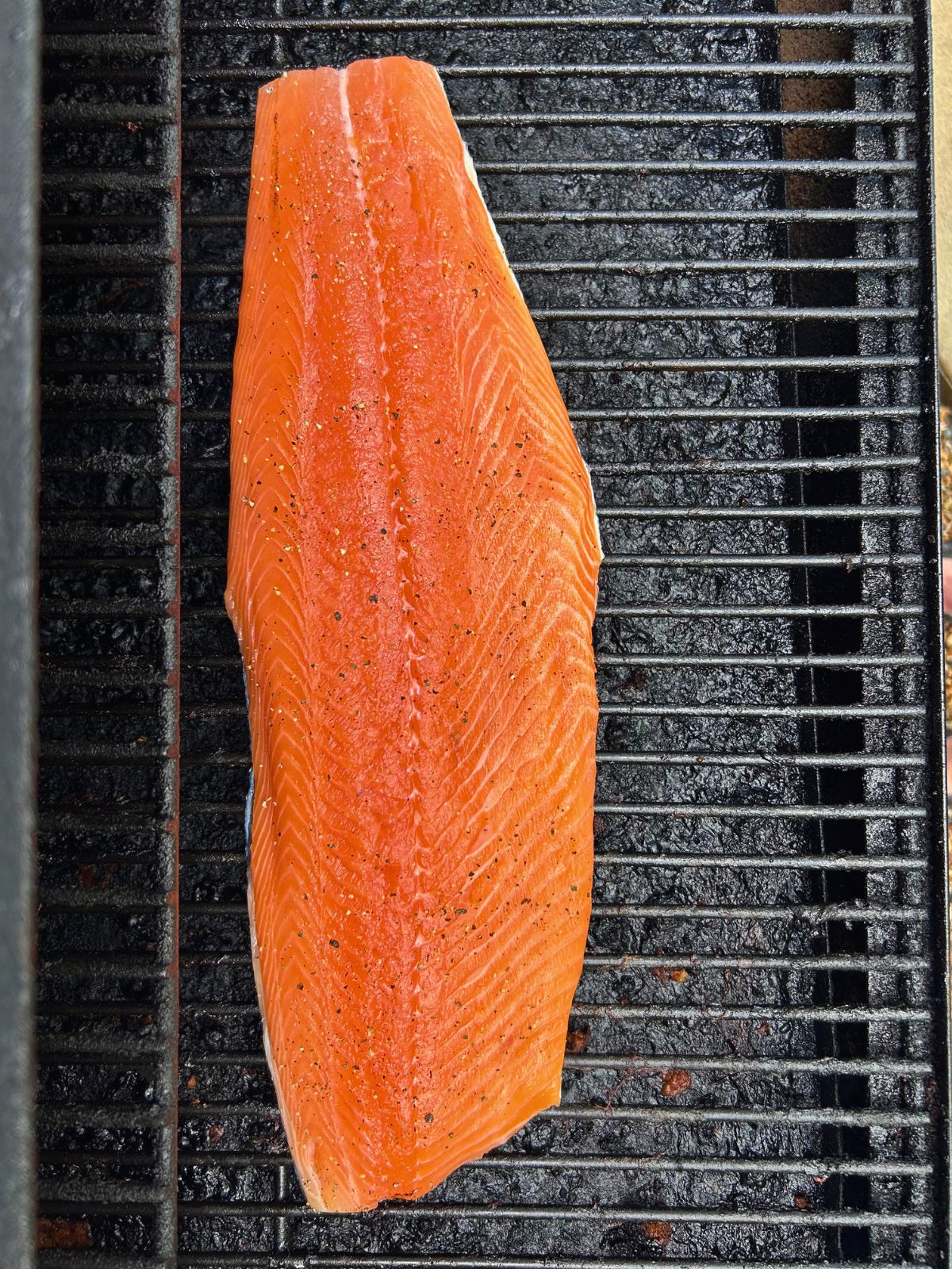 A side of salmon is placed on the grill of a pellet smoker to cook.