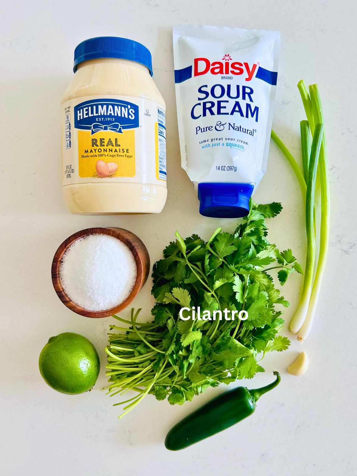 All of the ingredients needed to make this jalapeño ranch recipe.