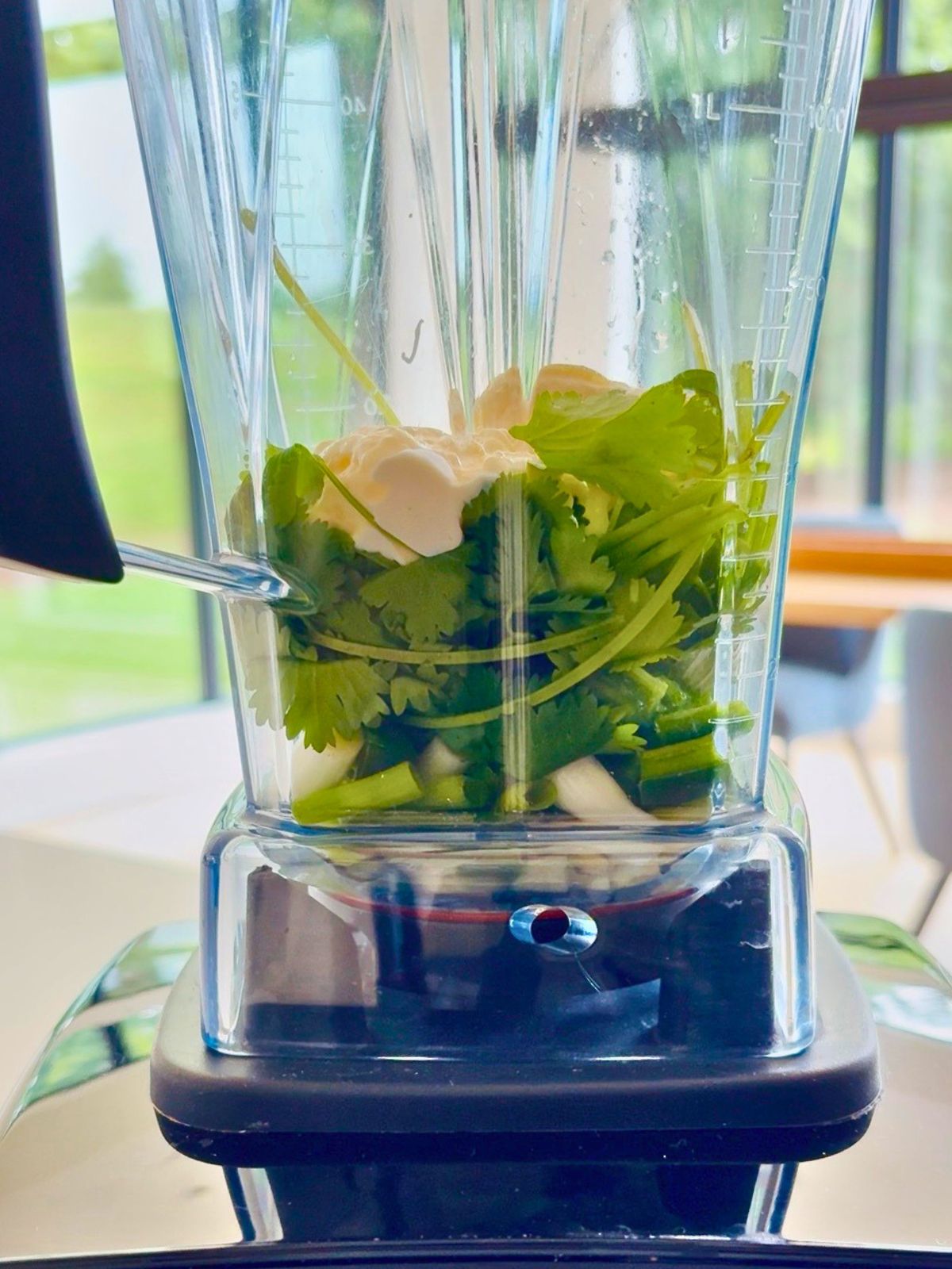 Cilantro, green onions, jalapeño, sour cream, and mayonnaise are in the pitcher of a bender.