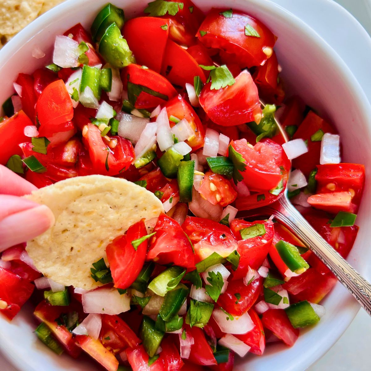 A chip is dipped into a white bowl of cherry tomato pico de gallo.