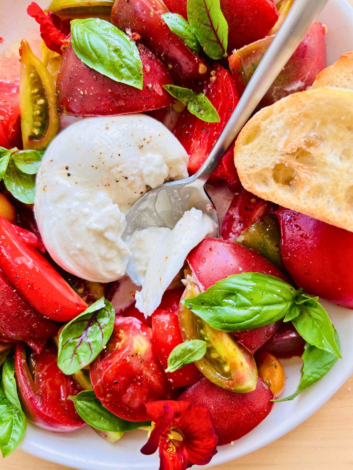A spoon has opened a ball of burrata with heirloom tomatoes wedges, basil, and a toasted slice of baguette.