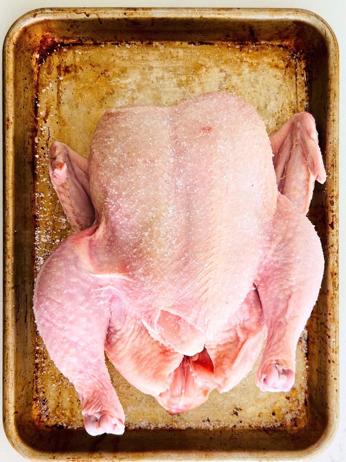 A whole, salted, uncooked chicken is laying on a rimmed baking sheet.