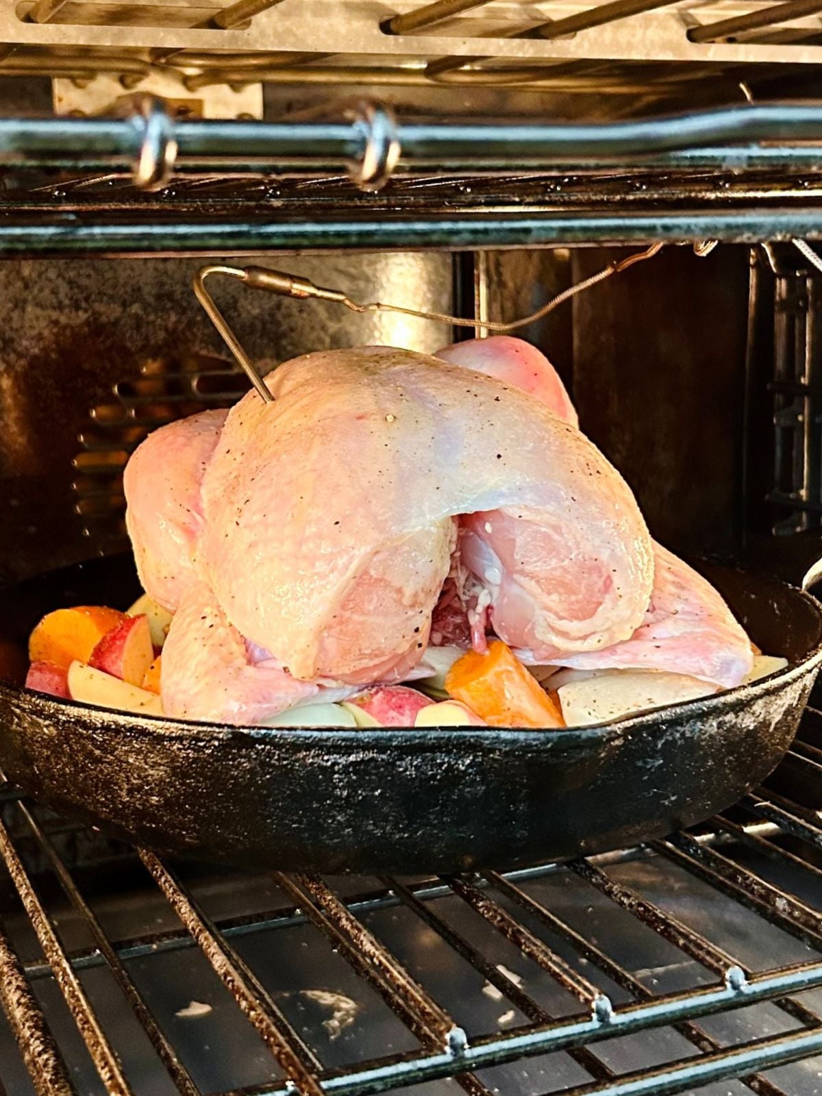 A cast iron skillet with a whole chicken on top of vegetables starting to roast inside an oven.